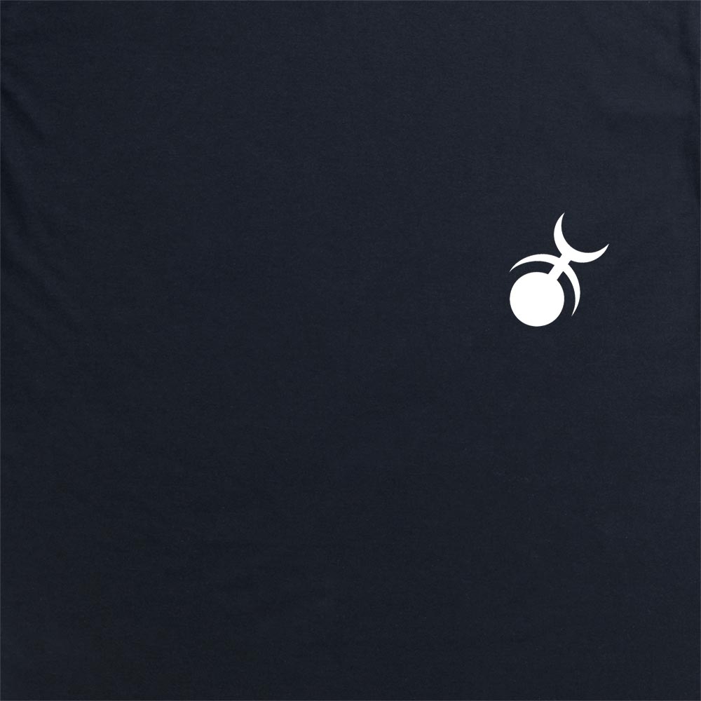 Slaanesh Insignia Hoodie