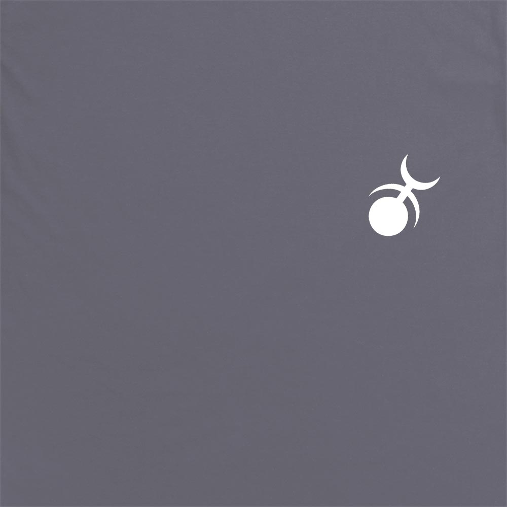 Slaanesh Insignia Hoodie