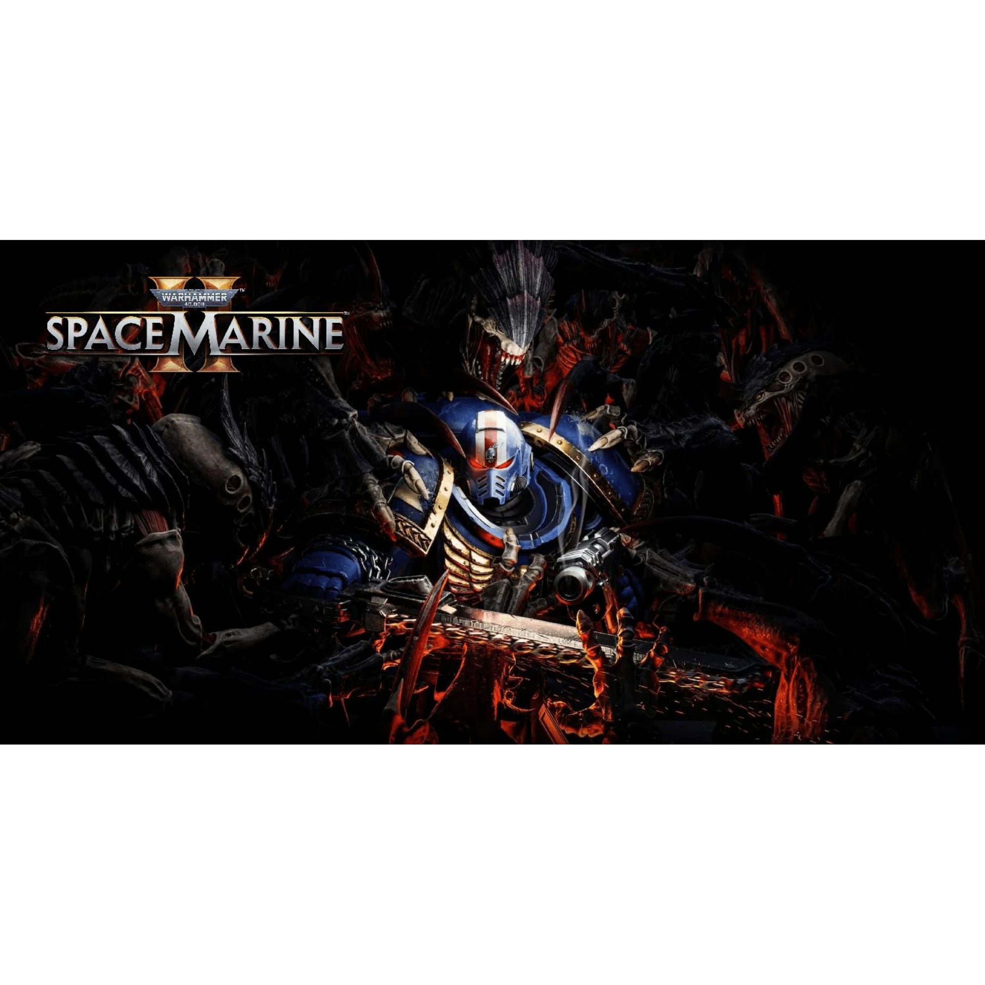 24503196-4e13-431d-bc3f-363375bec6a4