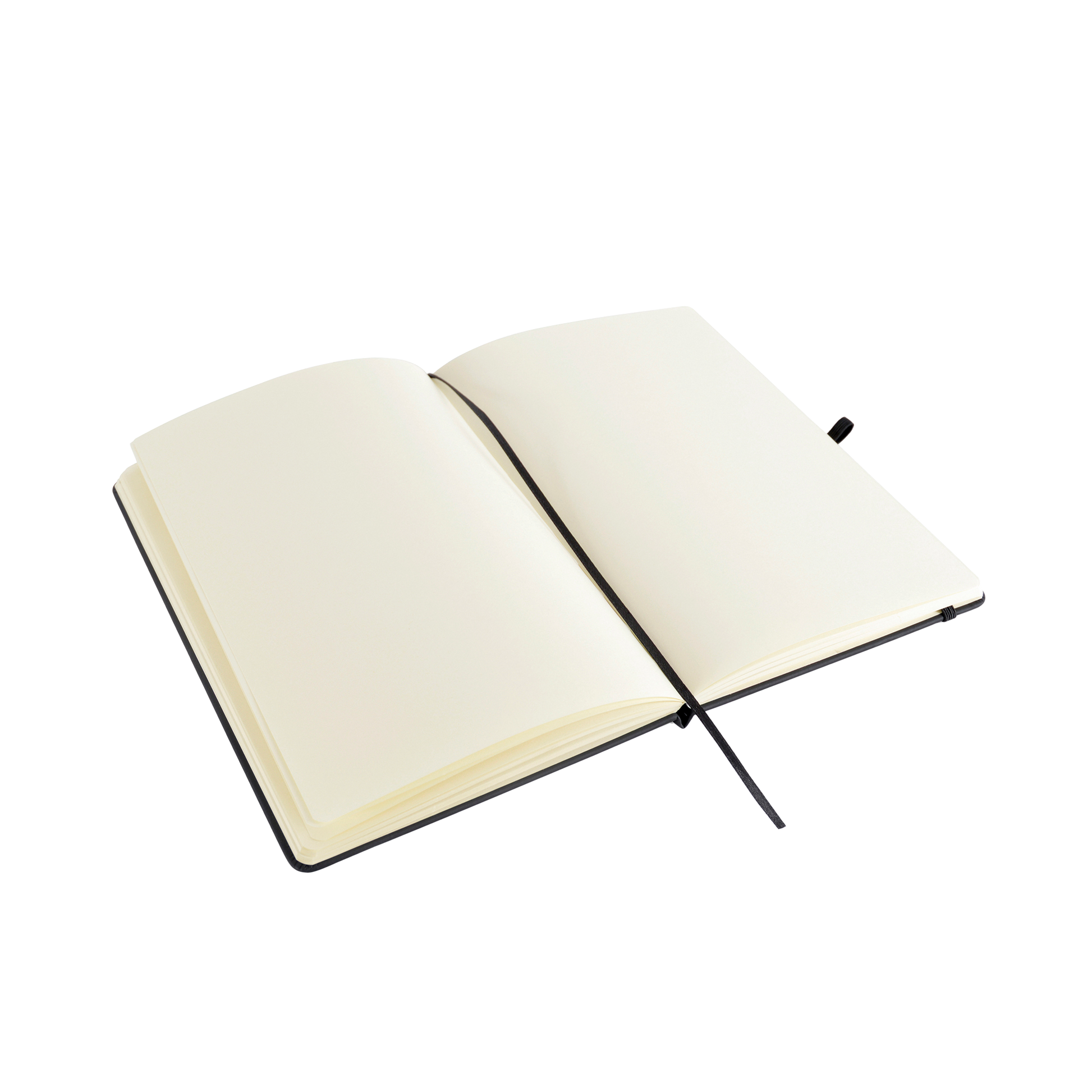 GRIMDARK - Canoness Veridyan Unruled Notebook Inside