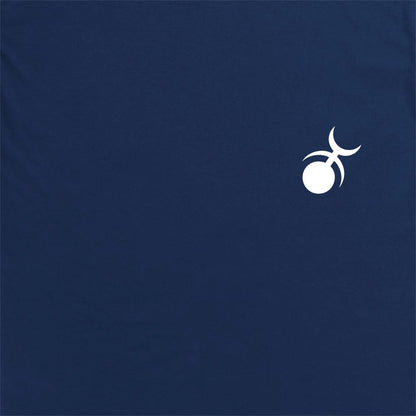 Slaanesh Insignia Hoodie